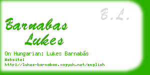 barnabas lukes business card